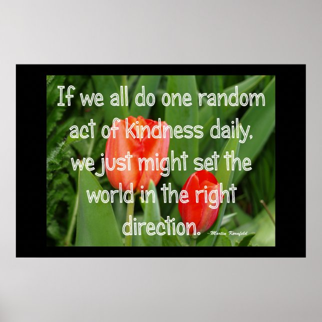 Poster Bondade Aleatória (Frente)