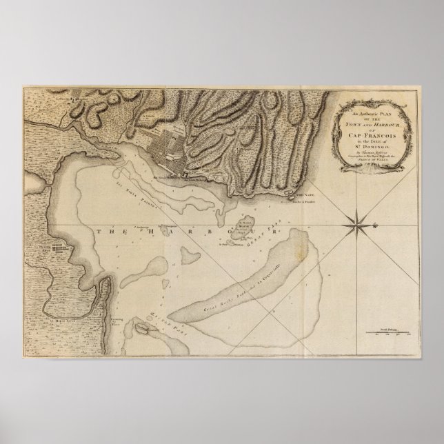 Pôster Boné Francois (Frente)