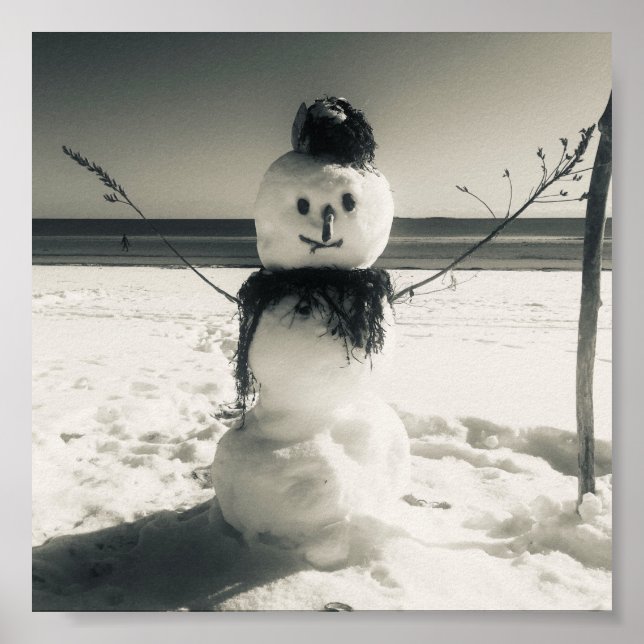Poster boneco de neve da costa (Frente)