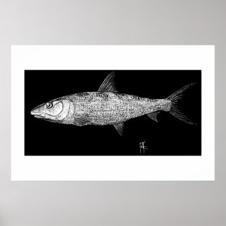 Pôster Bonefish Scratch art