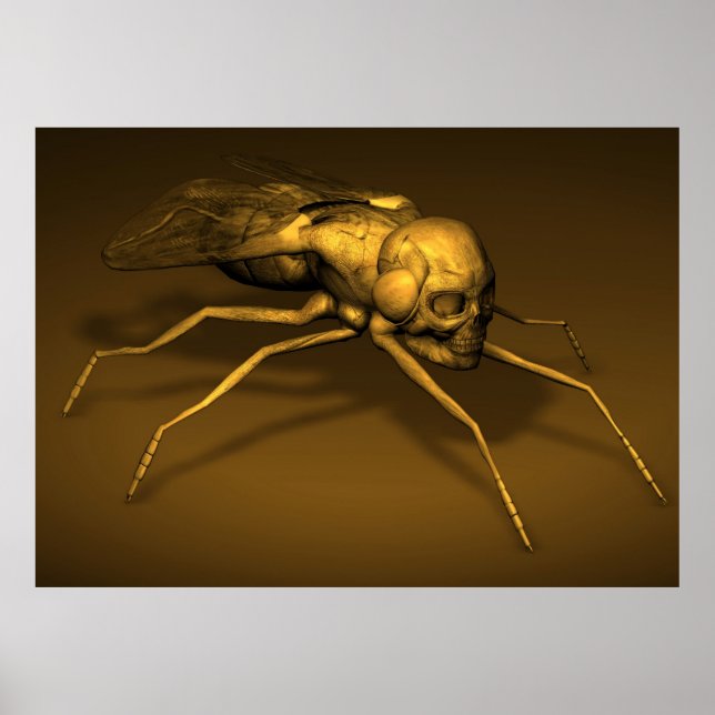 Pôster Bonehead Fly (Frente)