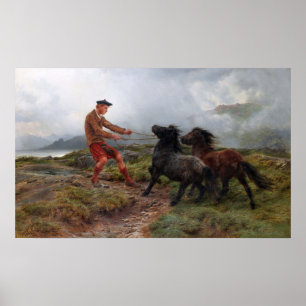 Poster Bonheur - Ghillie Shetland Ponies Em Terras Mistas