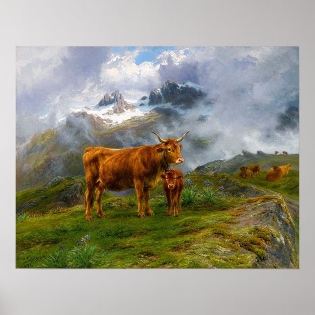 Poster Bonheur - Highland Cattle (Frente)