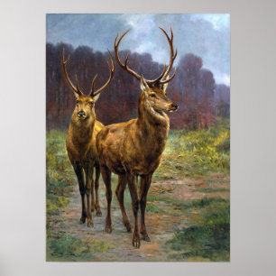 Poster Bonheur - Monarcas Da Floresta