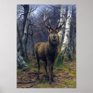 Poster Bonheur - O Rei Da Floresta