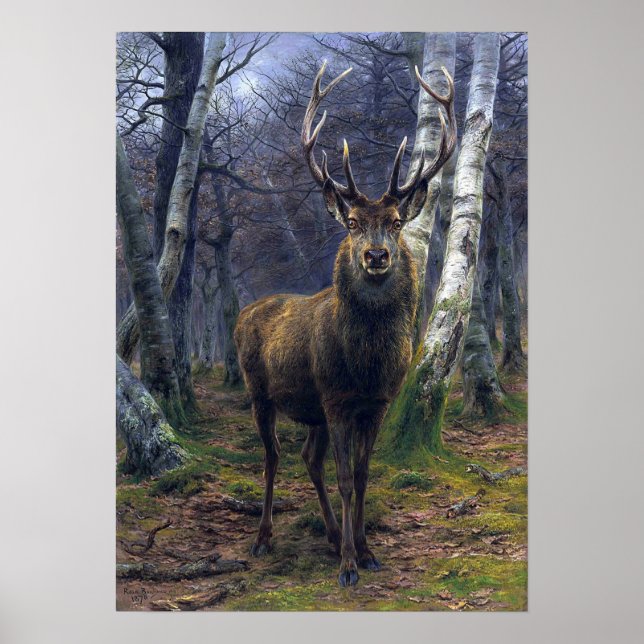 Poster Bonheur - O Rei Da Floresta (Frente)