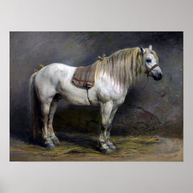 Poster Bonheur - Um Cavalo Branco (Frente)