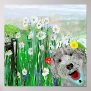 Poster Bonita, Engraçada Labradoodle Daisies Wall Art Pos