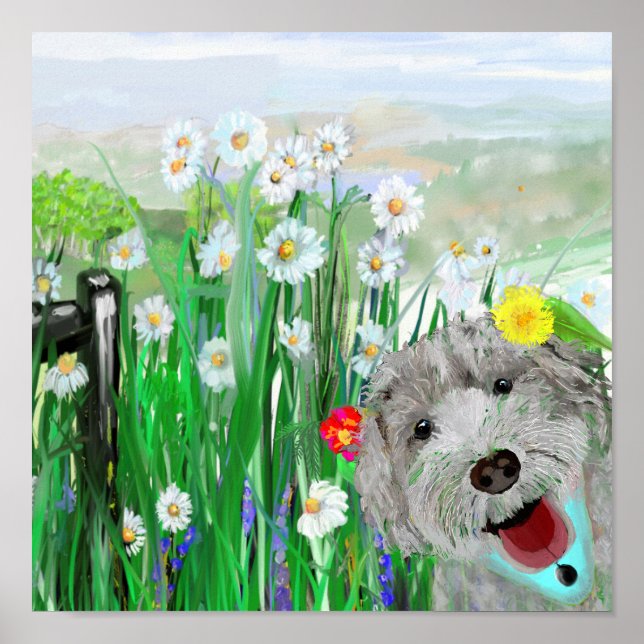 Poster Bonita, Engraçada Labradoodle Daisies Wall Art Pos (Frente)