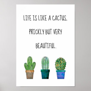 Poster Bonita frase de cacto com três desenhos de cacto