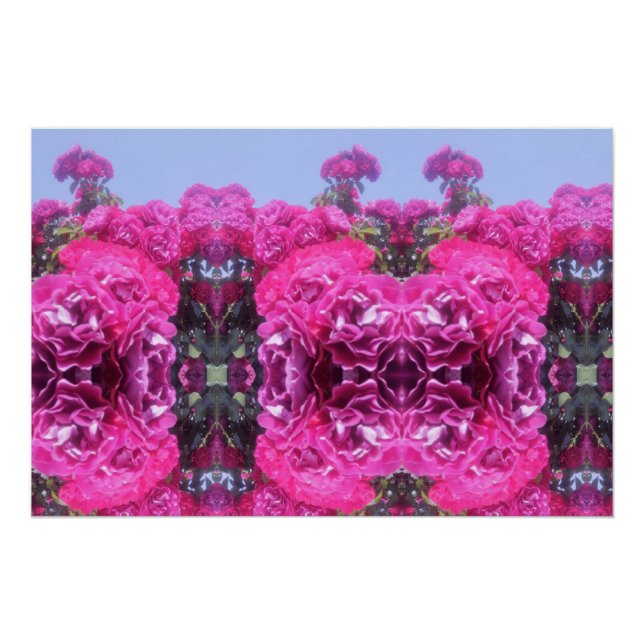 Pôster Bonita Rosa (Frente)