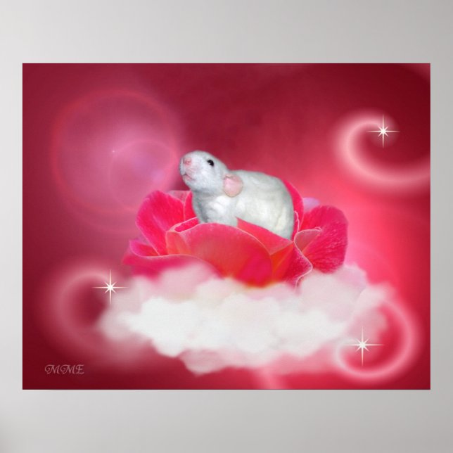 Pôster Bonito a rosa (Frente)