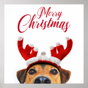 Poster Bonito Cachorro de Natal Reindeer Antler Headband