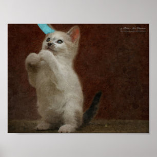 Poster bonito de Kittie