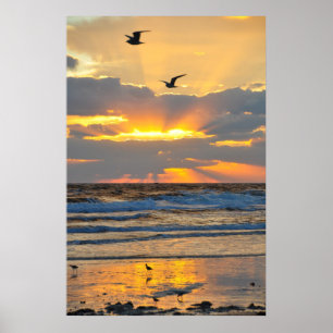 Poster bonito do cenário do nascer do sol da prai