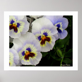 Pôster Bonito empregadas, todas em fileira, por Linda Bec