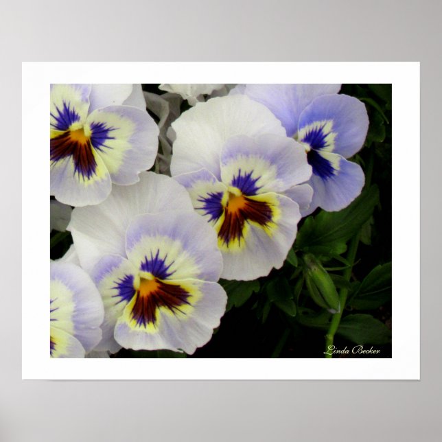 Pôster Bonito empregadas, todas em fileira, por Linda Bec (Frente)