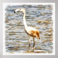 Bonito Flamingo Frazões Watercolor