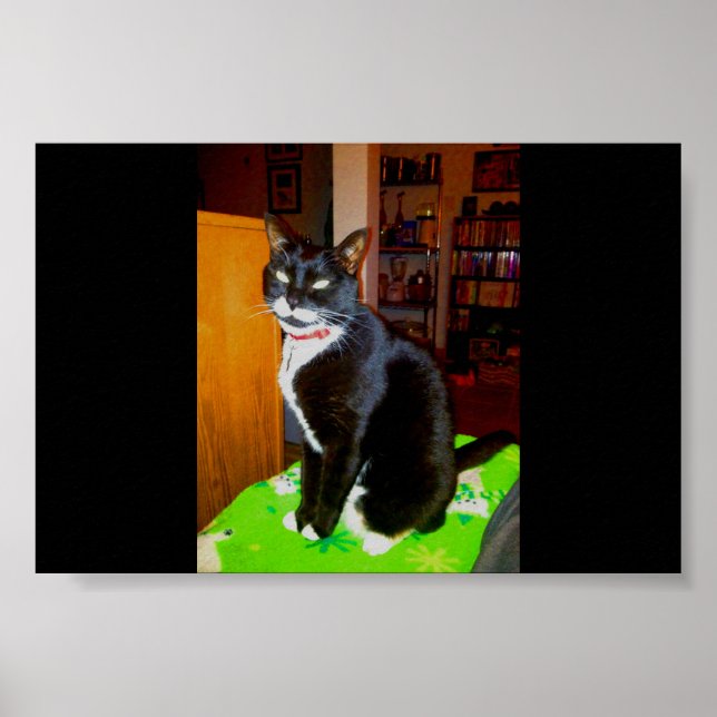 Pôster Bonito garota Lucy (Frente)