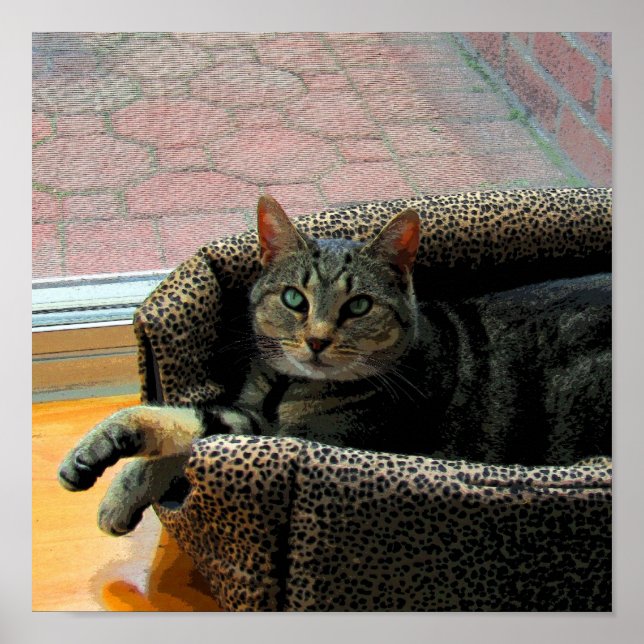 Poster Bonito Girl Indigo CB (Frente)