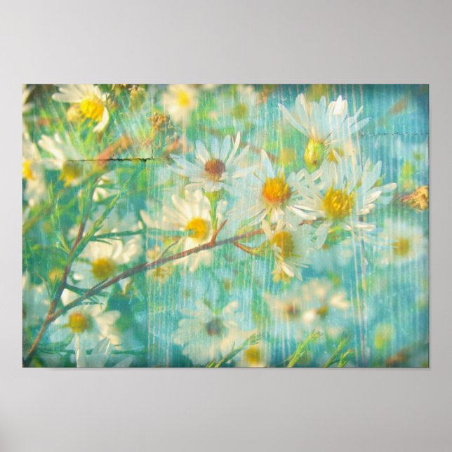 Pôster Bonito margaridas (Frente)