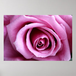 Pôster Bonito no lilac