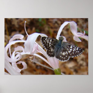 Pôster Bonito no rosa