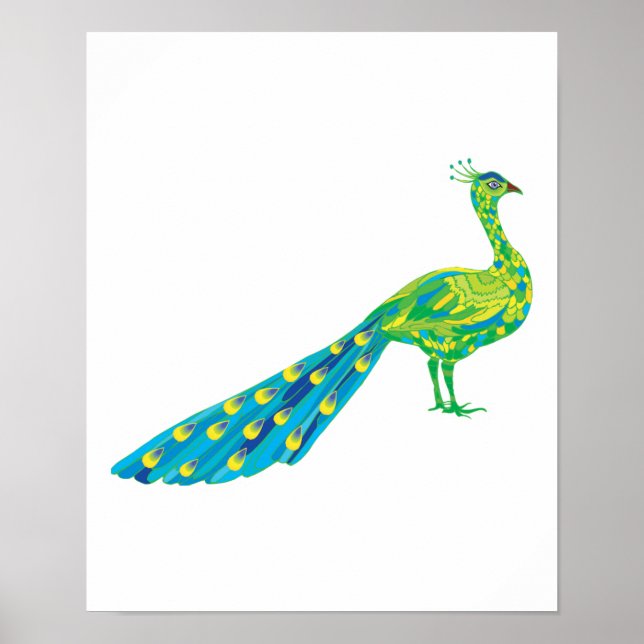 Pôster bonito pavão (Frente)