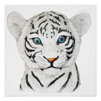 Bonito Tigre Branco Com Olhos Azuis