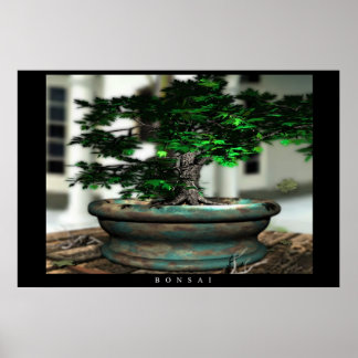 Poster Bonsai