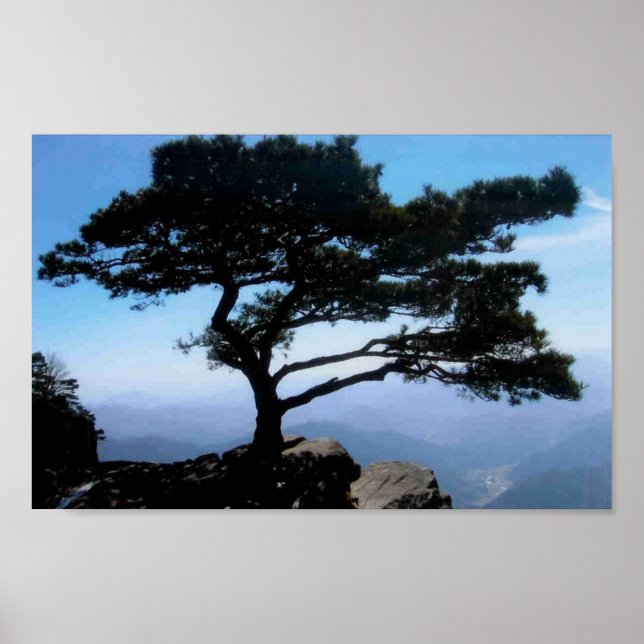 Poster Bonsai (Frente)