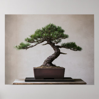 Poster Bonsai de Pinheiro Preto Japonês | Arte de Parede