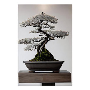 Pôster Bonsai em Harmonia