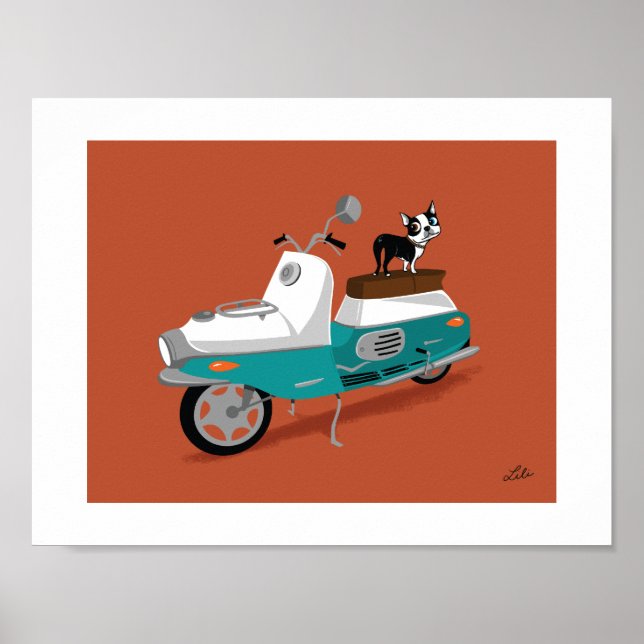 Poster Boogie em Cezeta (Frente)