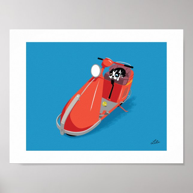 Poster Boogie em Salisbury (Frente)