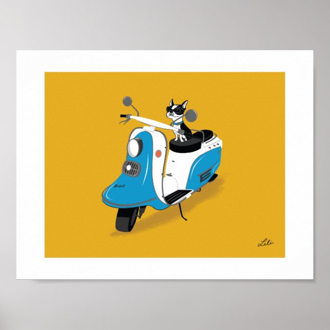 Pôster Boogie no Coelho Fuji (Frente)