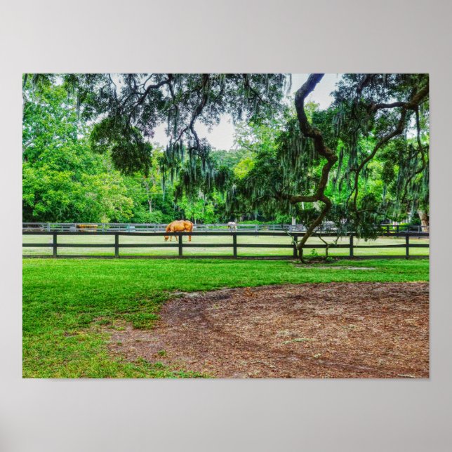 Poster Boone Hall Stables (Frente)