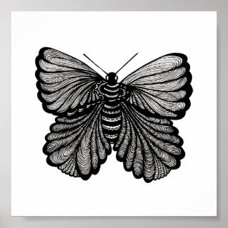 Poster Borboleta