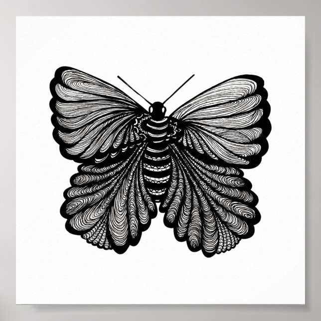 Poster Borboleta (Frente)