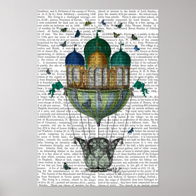 Pôster Borboleta (Frente)