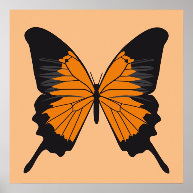 Pôster borboleta1 (Frente)