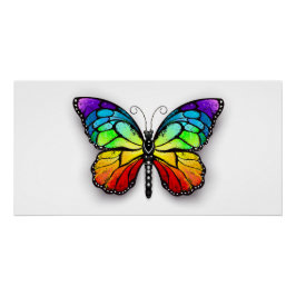 Pôster Borboleta-arco-íris Monarca
