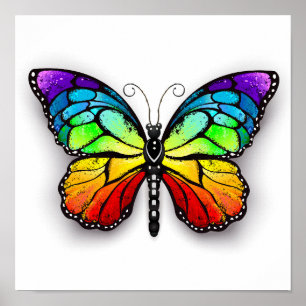 Poster Borboleta-arco-íris Monarca