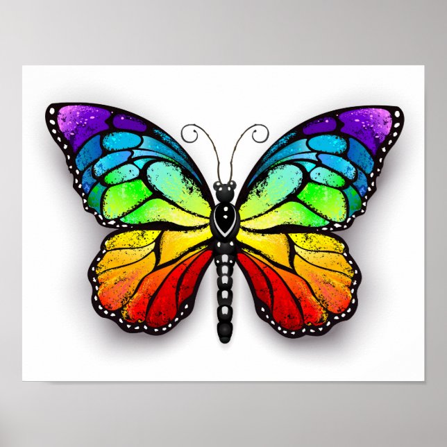 Poster Borboleta-arco-íris Monarca (Frente)