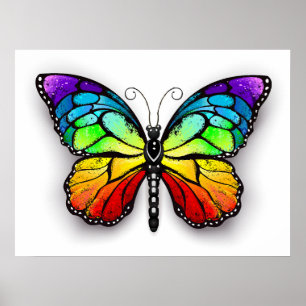Poster Borboleta-arco-íris Monarca