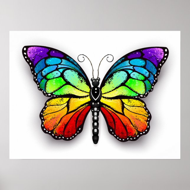 Poster Borboleta-arco-íris Monarca (Frente)