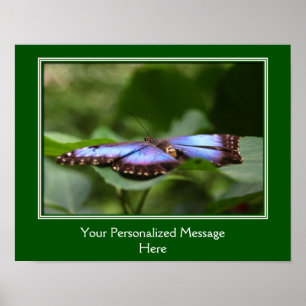 Pôster Borboleta Azul Crie Sua Própria Cota