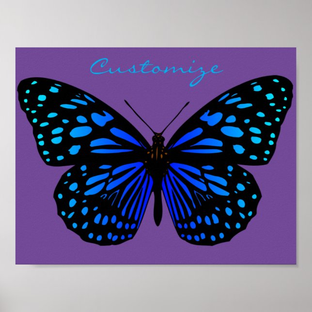 Poster Borboleta azul Thunder_Cove (Frente)