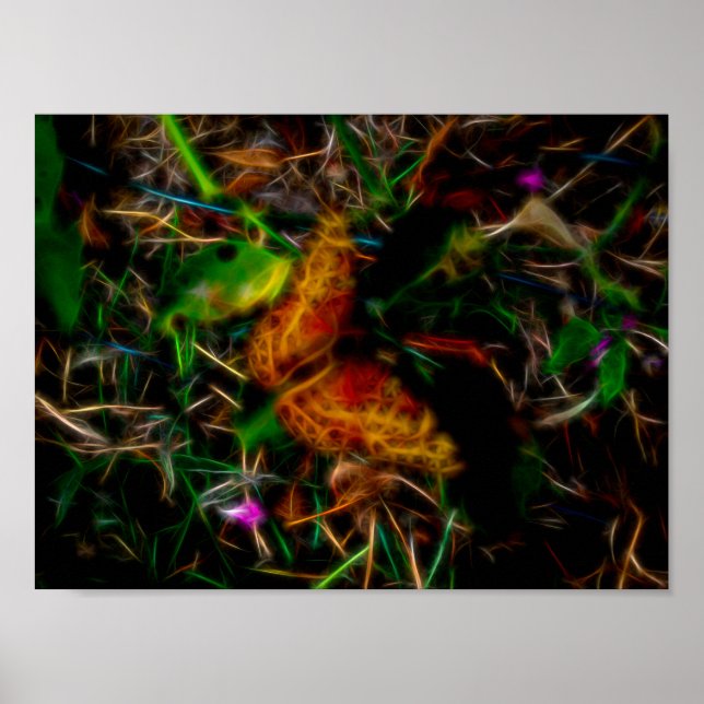 Poster Borboleta brilhante (Frente)