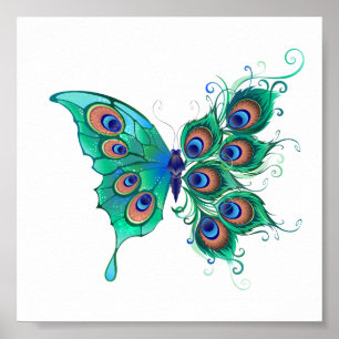 Poster Borboleta com Penas de Pavão Verde